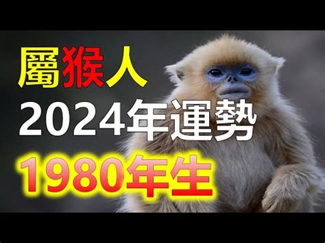 1980屬猴2023運勢|【1980年出生】1980年生肖猴全年運勢：事業、愛情、財運一次。